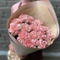 15 розовых гвоздик с нежной упаковкой